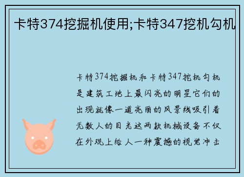 卡特374挖掘机使用;卡特347挖机勾机