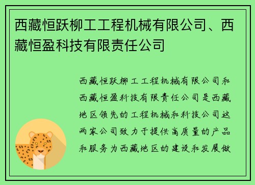 西藏恒跃柳工工程机械有限公司、西藏恒盈科技有限责任公司